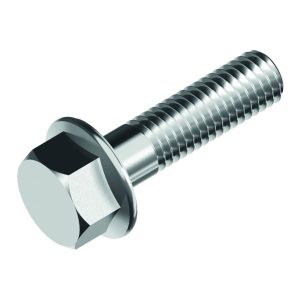 Hexagonal Screws with Flange DIN 6921 A4